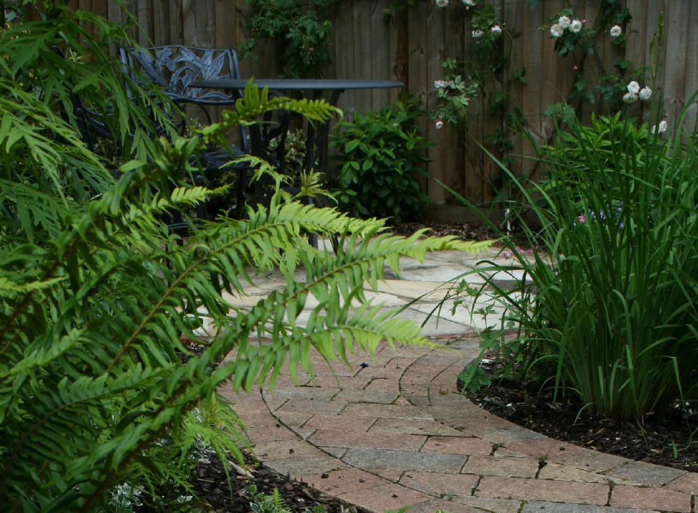 A small town garden with seating